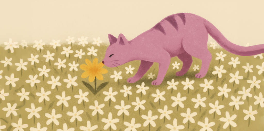 cat smelling flower